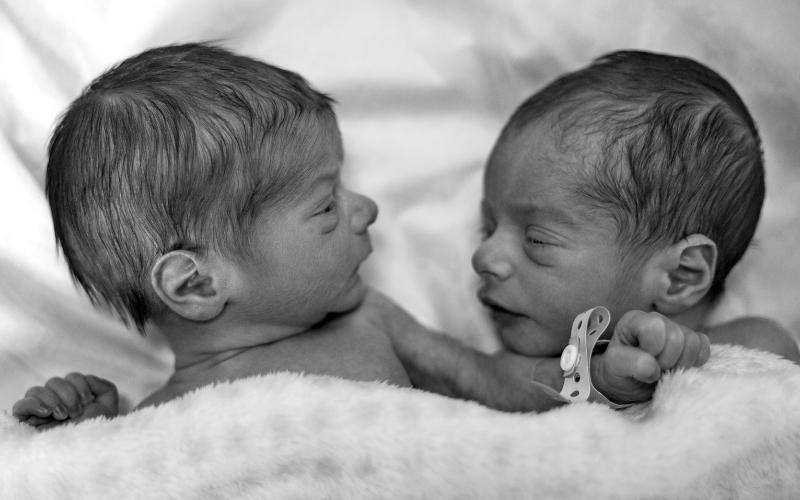 Diferencia entre gemelos y mellizos ¿Cuál es la diferencia? ¿Cómo se desarrollan?